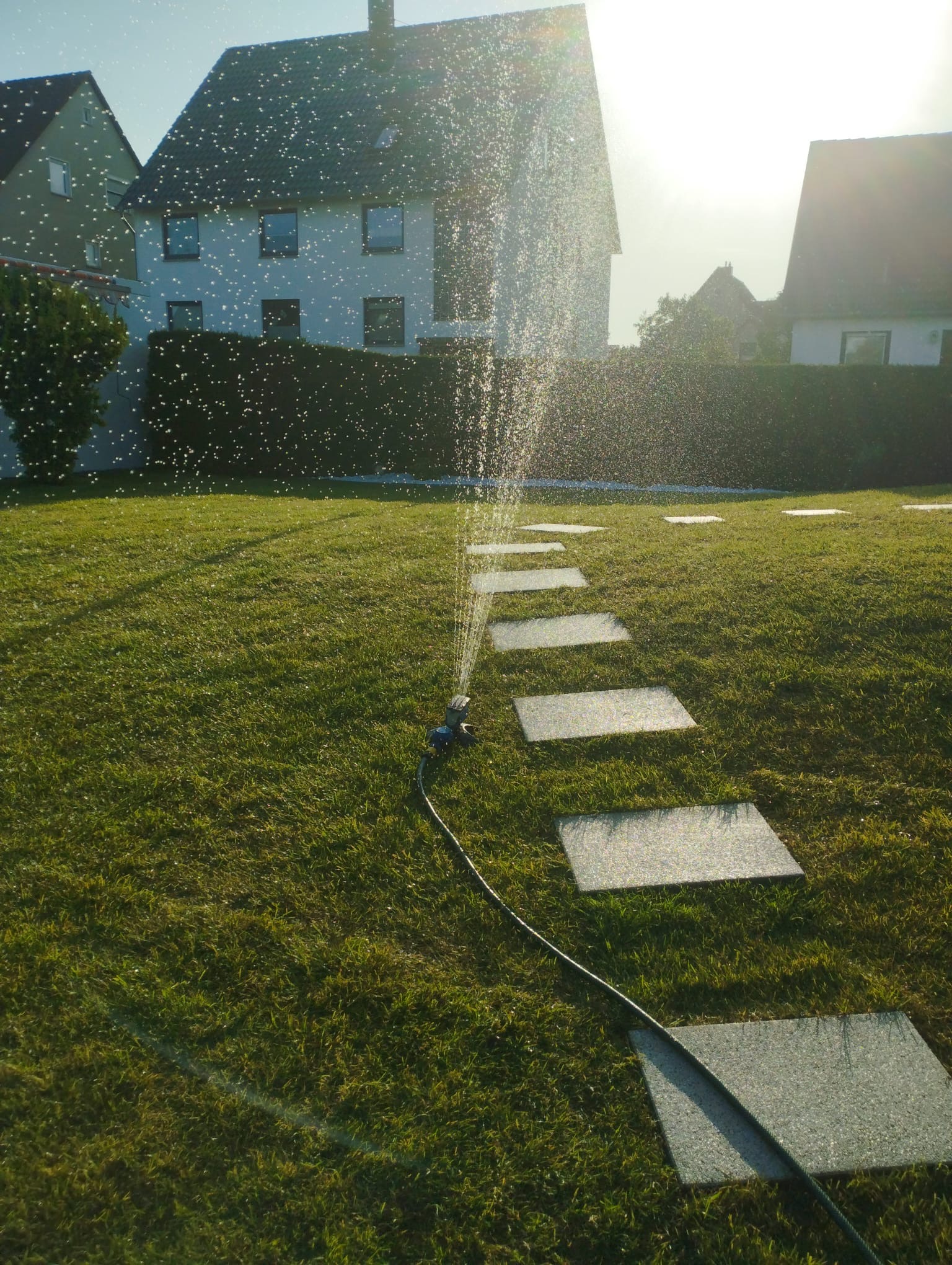 Galabau Bild 21