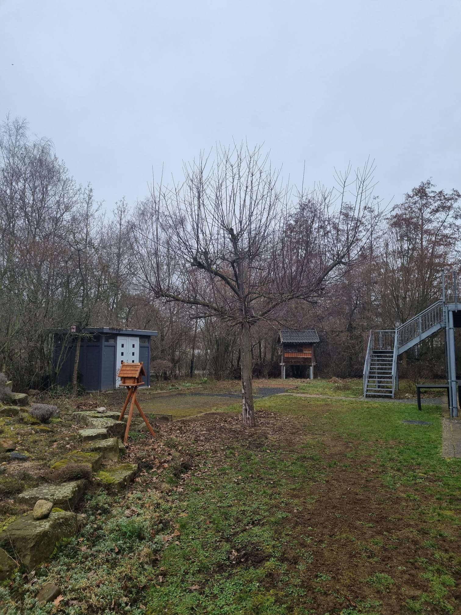 Galabau Neu Bild 14