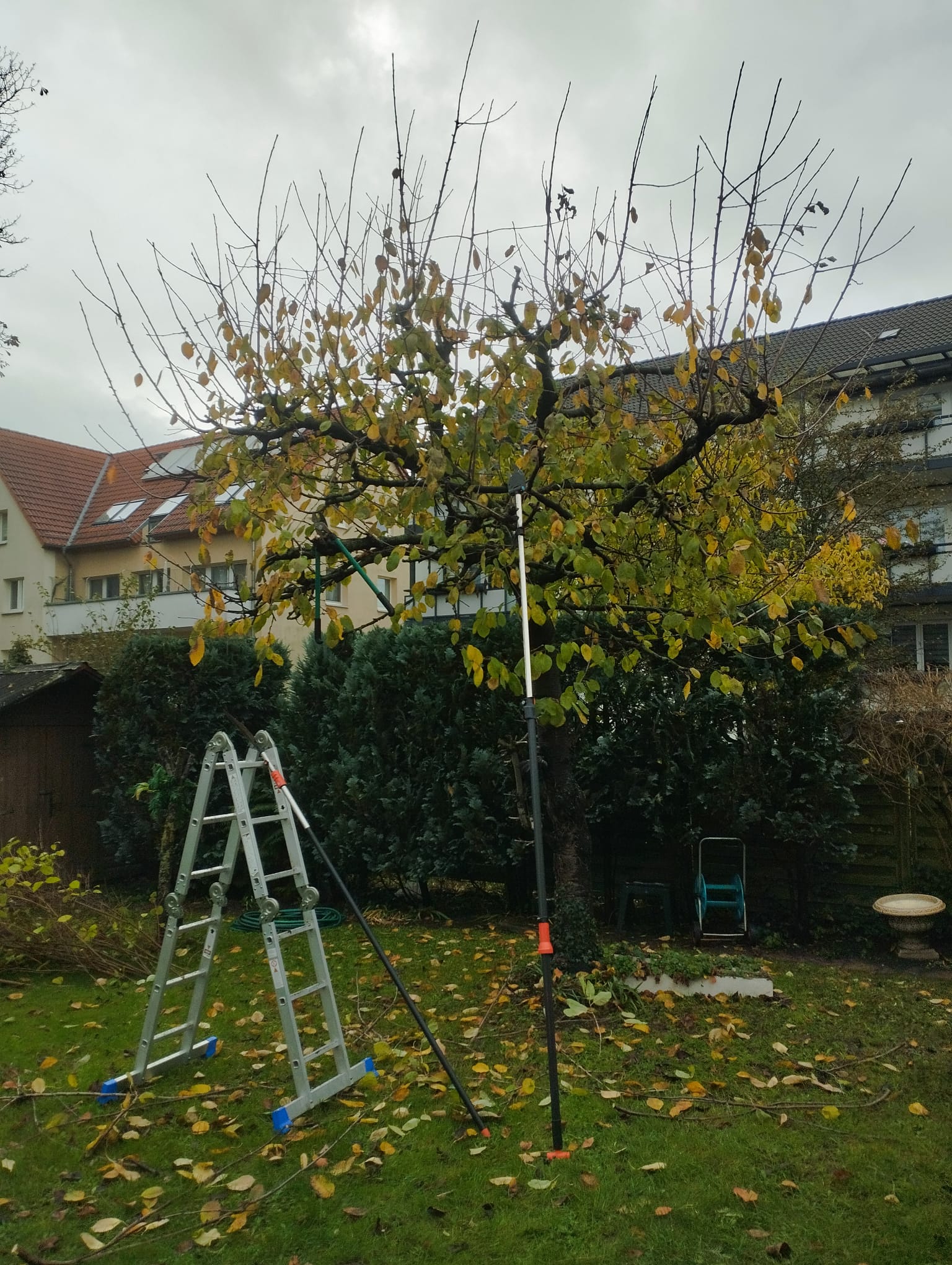 Galabau Neu Bild 39