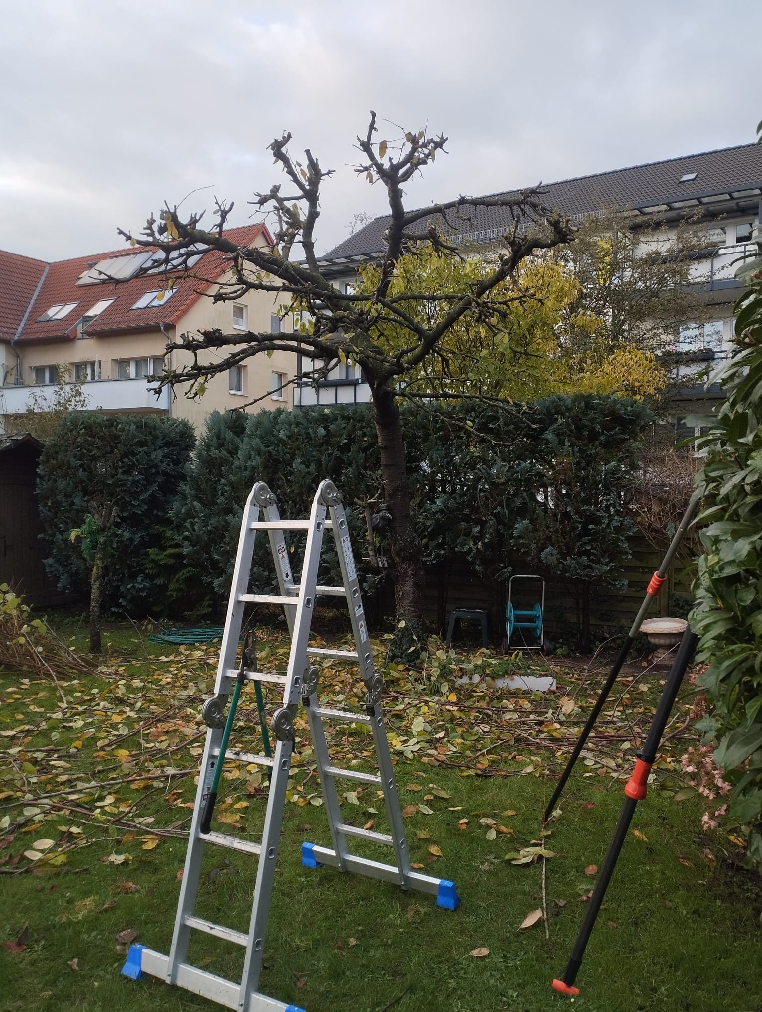 Galabau Neu Bild 40